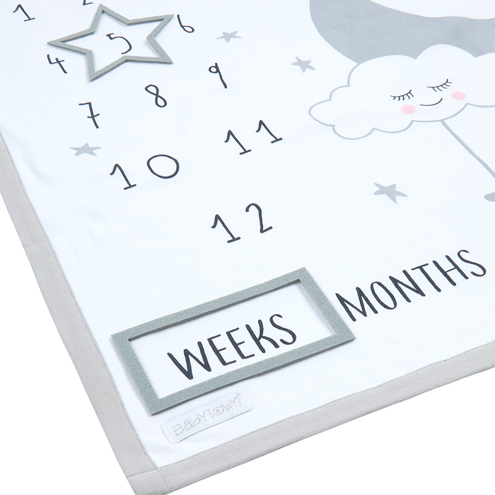 Baby Photo Milestone Blanket