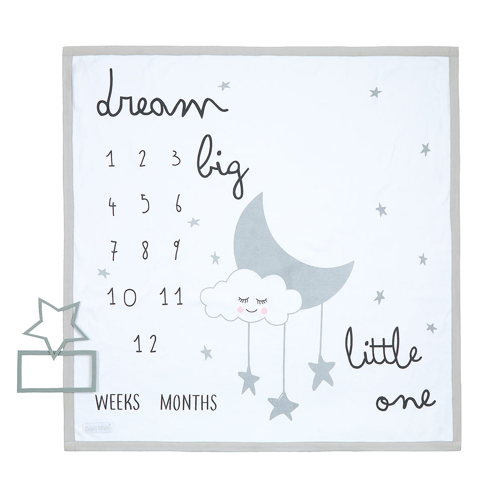 Baby Photo Milestone Blanket