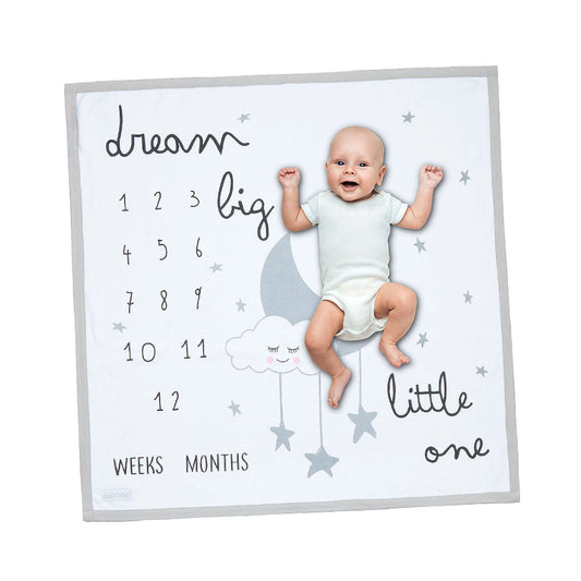 Baby Photo Milestone Blanket 